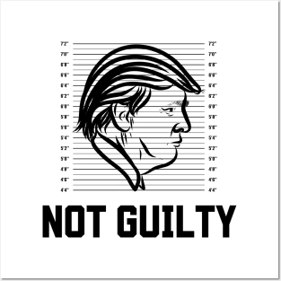 Trump Mugshot Posters and Art